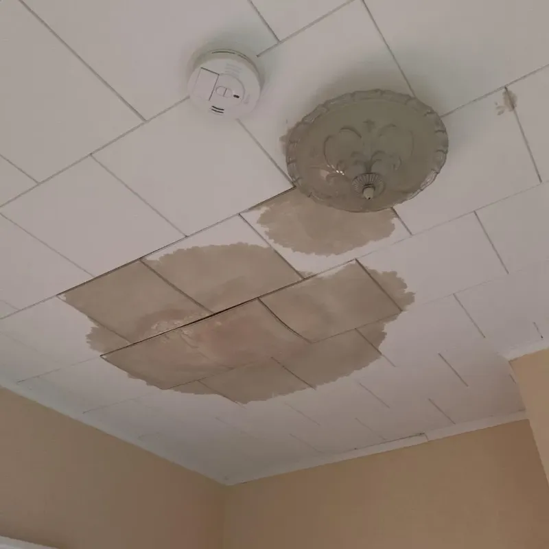 Ceiling Water Damage Repair in Toledo, OR